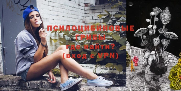 прущая мука Арсеньев