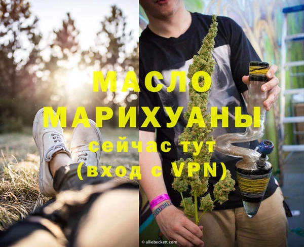 индика Армянск